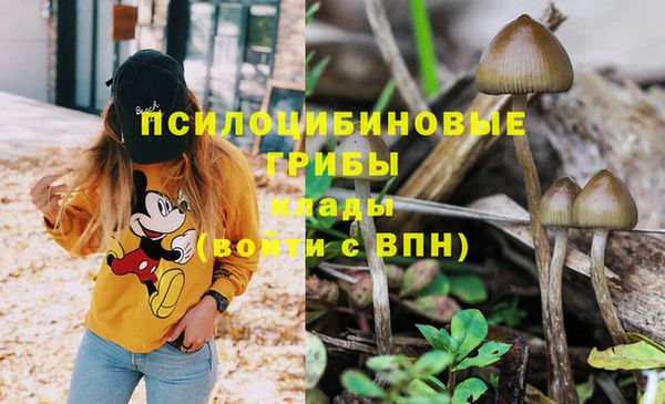 гашишное масло Абаза
