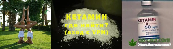 шишки Пестово
