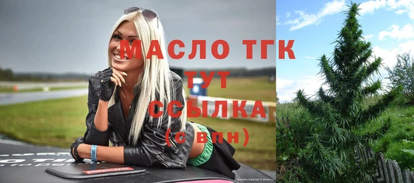шишки Пестово