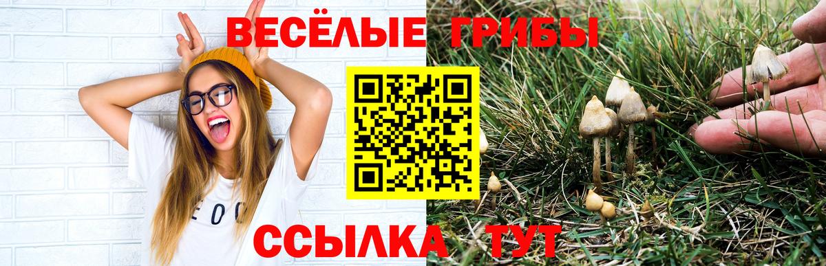 ГЕРОИН Барнаул
