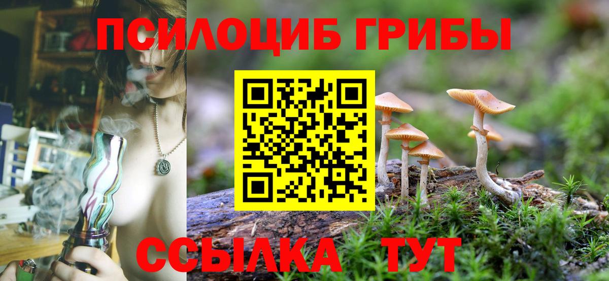 даркнет сайт  Галлюциногенные грибы Cubensis  Вход с VPN  Галлюциногенные грибы Magic Shrooms  Барнаул 