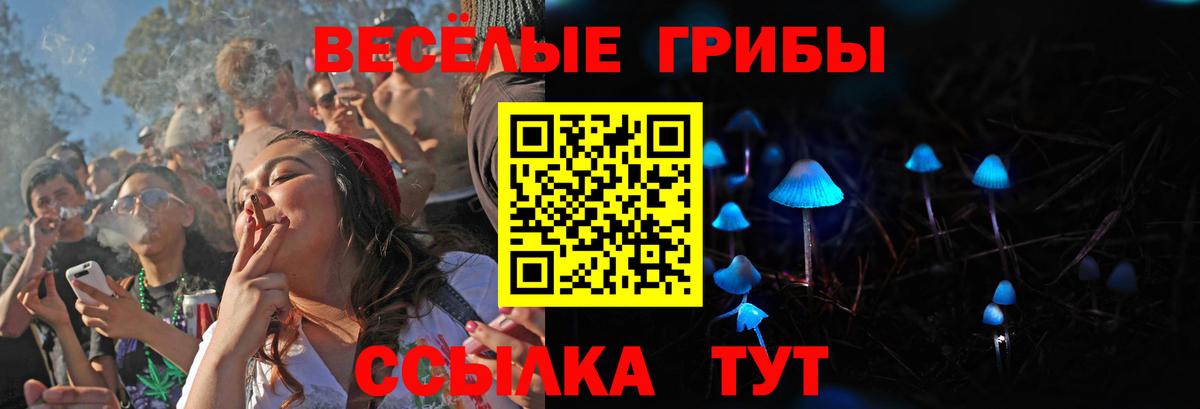 Галлюциногенные грибы ЛСД Барнаул